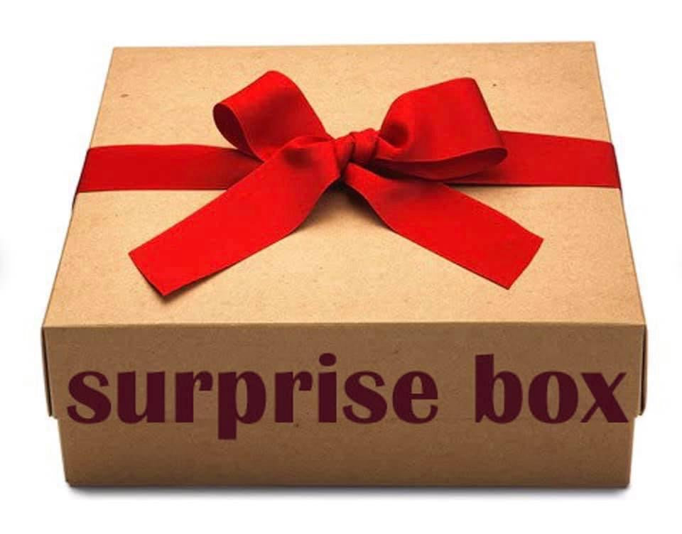 Nordic Holiday Surprise Box 2023